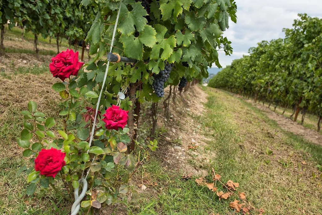 Farm stay Agriturismo Costadoro Bardolino Italy